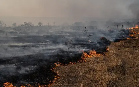 Skutki efektu cieplarnianego: Zagrożenia dla Polski i rola OZE