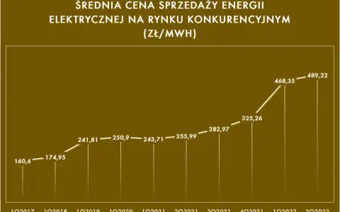 Aukcje OZE w Polsce: Zrozum mechanizm i wygrywaj!