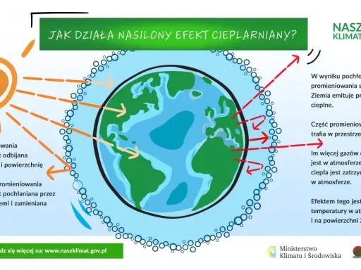Gazy cieplarniane: Co musisz wiedzieć o OZE i zmianach klimatu?