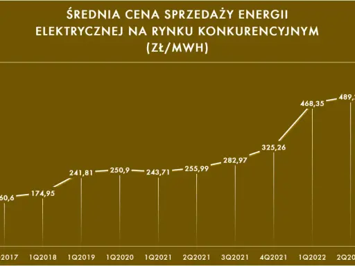 Aukcje OZE w Polsce: Zrozum mechanizm i wygrywaj!
