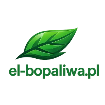 Logo el-bopaliwa.pl